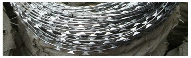 Razor Wire Coils for Fence Toppings