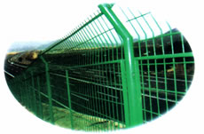 Wire Mesh Fencing