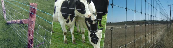 Metal fences for Grassland 