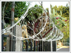 Razor wire for salf