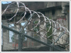 Razor Barbed Wire